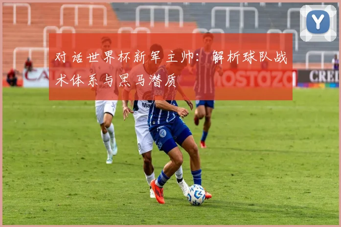 对话世界杯新军主帅：解析球队战术体系与黑马潜质
