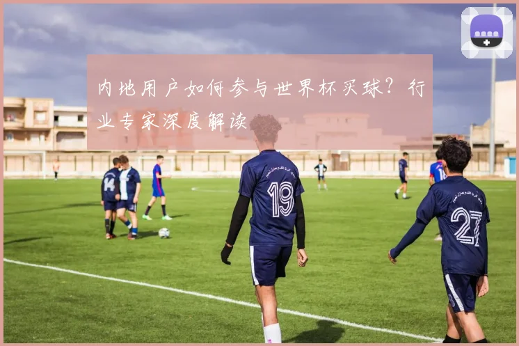 内地用户如何参与世界杯买球？行业专家深度解读