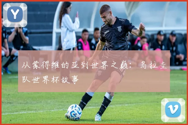 从蒙得维的亚到世界之巅：乌拉圭队世界杯故事
