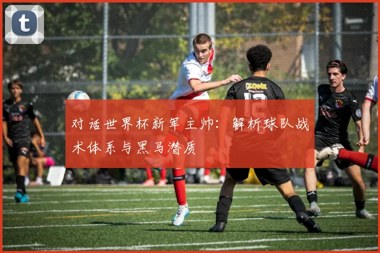 对话世界杯新军主帅：解析球队战术体系与黑马潜质